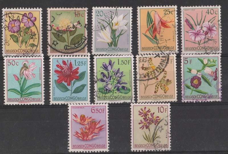 CONGO FLOWERS  SHORT SET  UP TO 10f