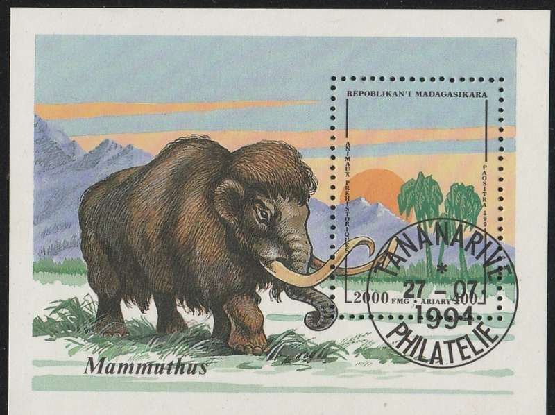 MADAGASCAR   MAMMOTH
