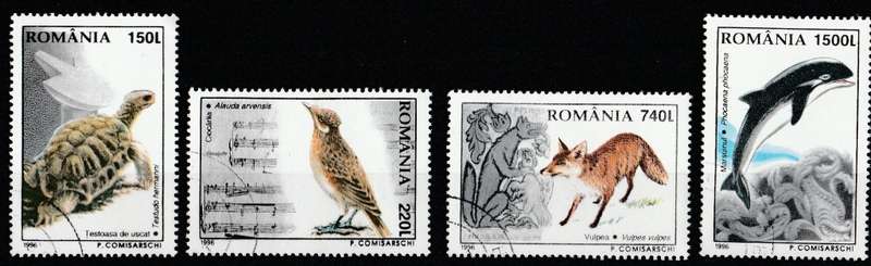 ROMANIA  1996   WILD     THEMATICS