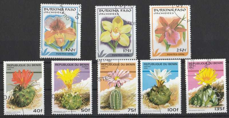 ORCHIDS   &   CACTI        THEMATICS