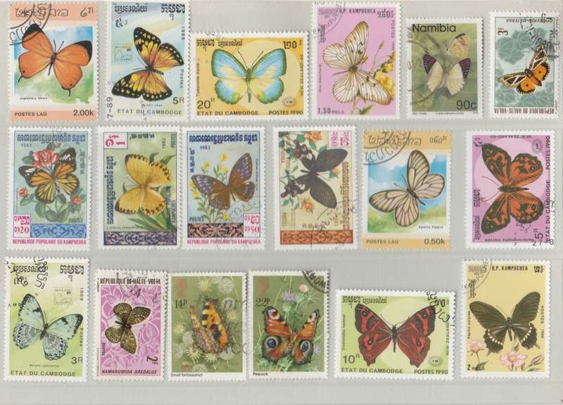 THEMATICS     butterflies      ASSORTMENT