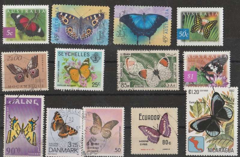 THEMATICS----BUTTERFLIES