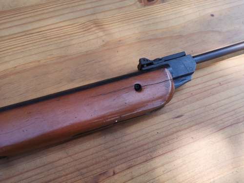Pellet Gun / Windbuks