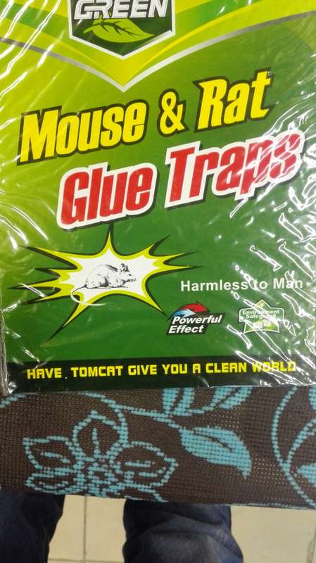 Glue Rat/Mouse Trap A4 size (Real rat catch image attached!!) 10 piece/bundle