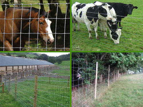 Galvanised Bonnox fence 1.2m height x 100m length
