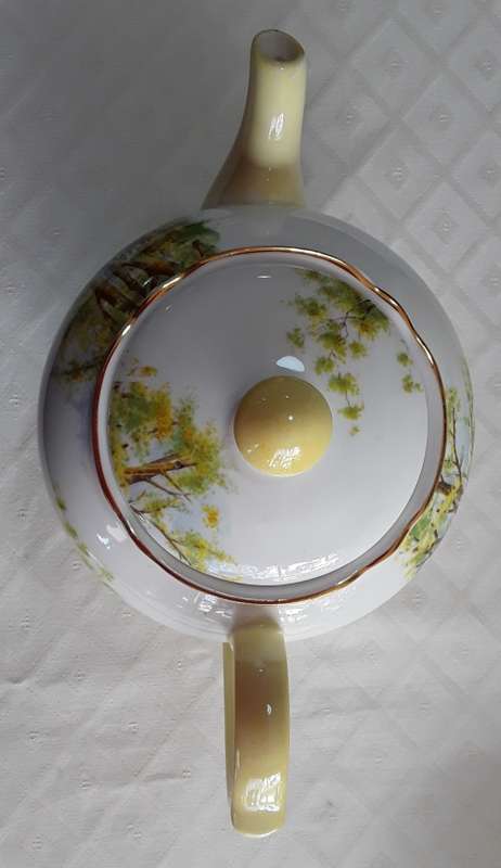 Shelley  -  Daffodil Time  -  Tea Pot