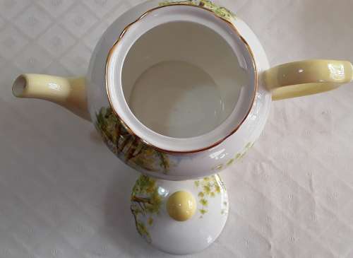Shelley  -  Daffodil Time  -  Tea Pot