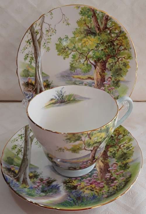 Shelley   -  Woodland  -   22pc   Tea  Set