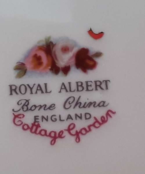 Royal  Albert    ``COTTAGE  GARDEN``   Dinner  Plate