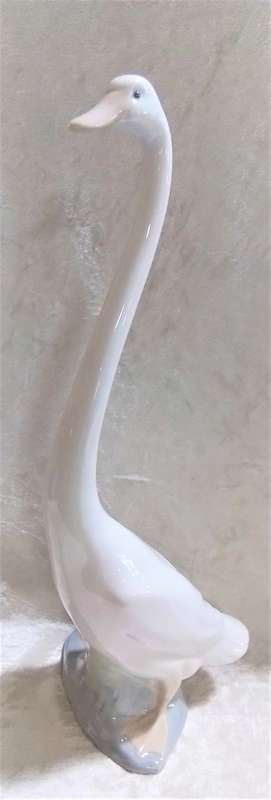 NAO   -    DUCK