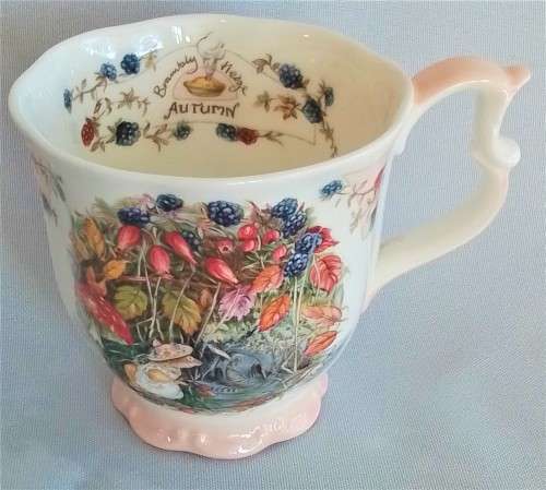 Royal  Doulton   -  Brambly  Hedge  -   Mug