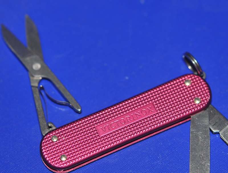 Victorinox Swiss Army Classic SD Pocket Knife-Pink