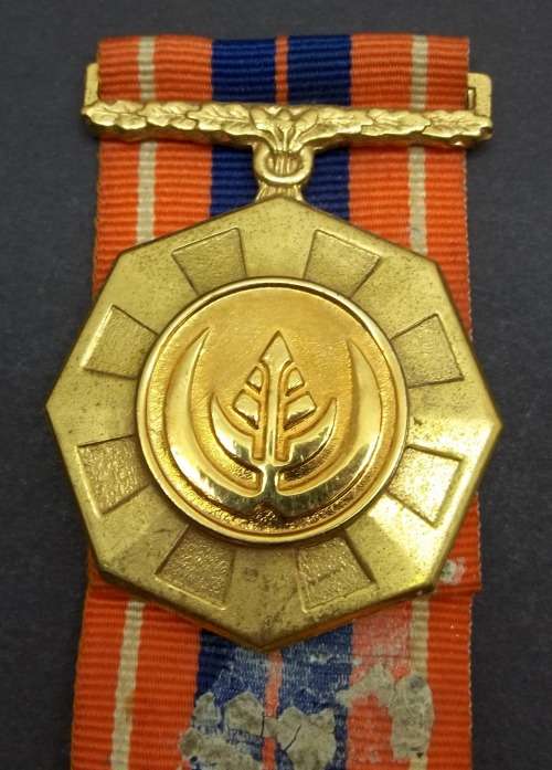 *CRAZY R1 START* SADF Pro Patria awarded to 213347 - without enamel
