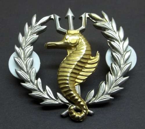 *CRAZY R1 START* SA Navy - Independent Ships Sea/Air Rescue Flotilla badge