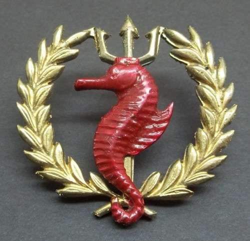 *CRAZY R1 START* SA Navy - Independent Ships Sea/Air Rescue Flotilla badge