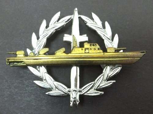 *CRAZY R1 START* SA Navy - Strike Craft Flotilla badge