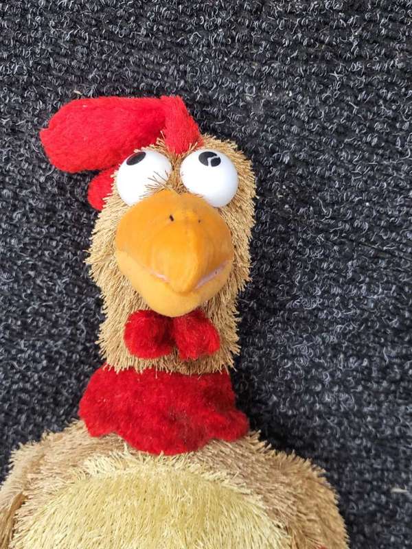 Beverly Hills Teddy Bear Company `The Cluck Cluck Polka` Electronic Toy Chicken