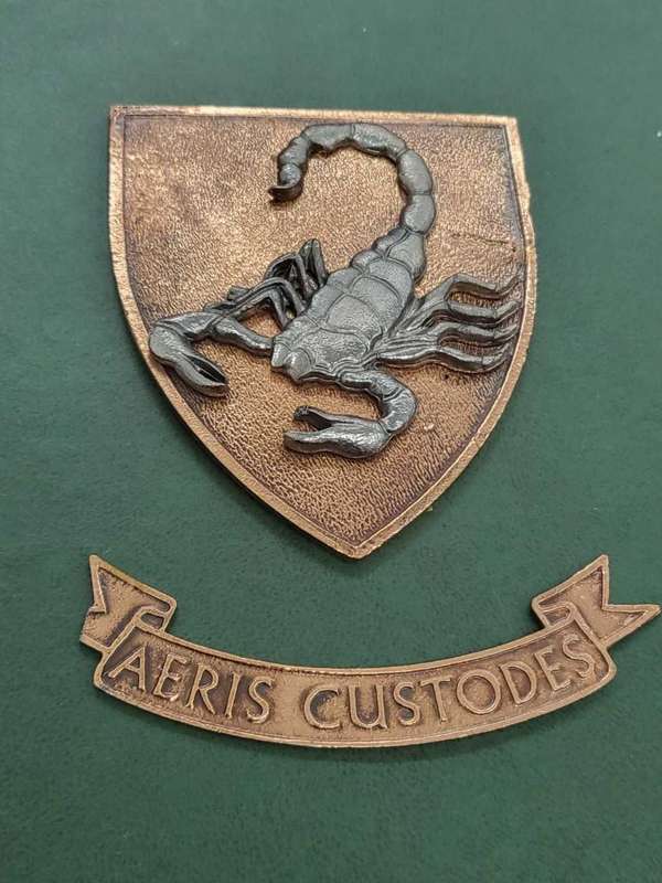 250 Air Defense Artillery Group plaque - 87mm x 75mm