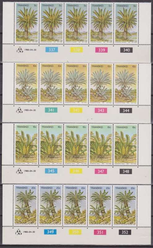 Transkei Cycads control strips of 5