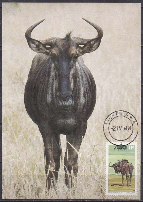 SWA additional value to definitive issue maxi card. LOOK SCAN