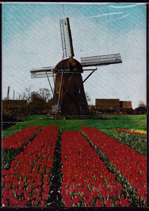 Netherlands 1983 post card. LOOK SCAN