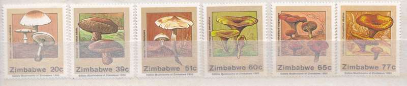 Thematic Zimbabwe 1992 edible mushrooms full set MNH