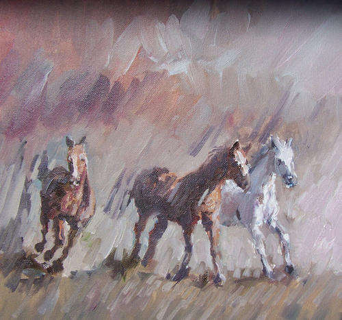 free horses