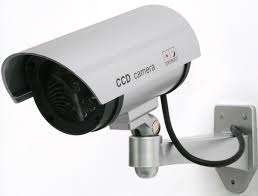 Realistic Looking Dummy IR Camera with flashing red light - Collections Welcome