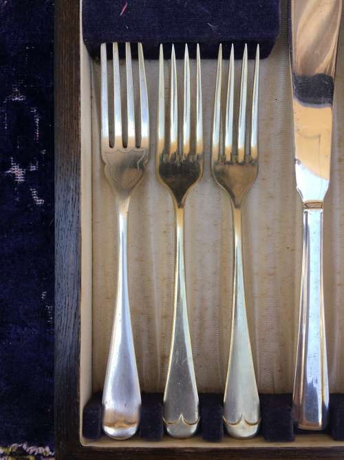 Nickle silver fish eater cutlery set in a mahogany case  - clearly marked