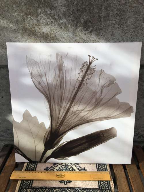 WOW !!! A STUNNING SCREEN PRINT ON CANVAS AND BLOCK MOUNTED