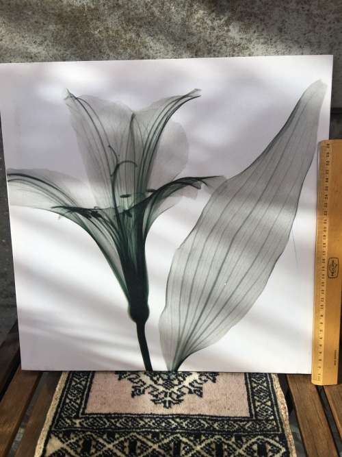 WOW !!! A STUNNING SCREEN PRINT ON CANVAS AND BLOCK MOUNTED