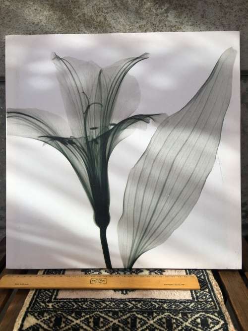 WOW !!! A STUNNING SCREEN PRINT ON CANVAS AND BLOCK MOUNTED