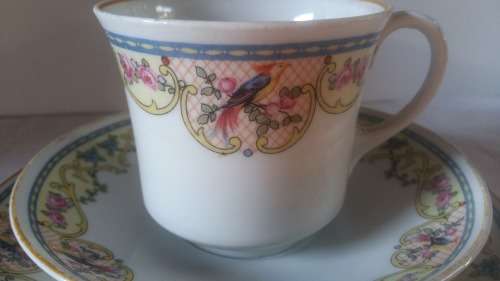 Vintage CZECHOSLOVAKIA MZ porcelain Tea Trio
