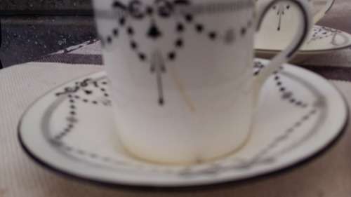 Rare Shelley China Demitasse Set, Circa 1910. stamped and numbered.