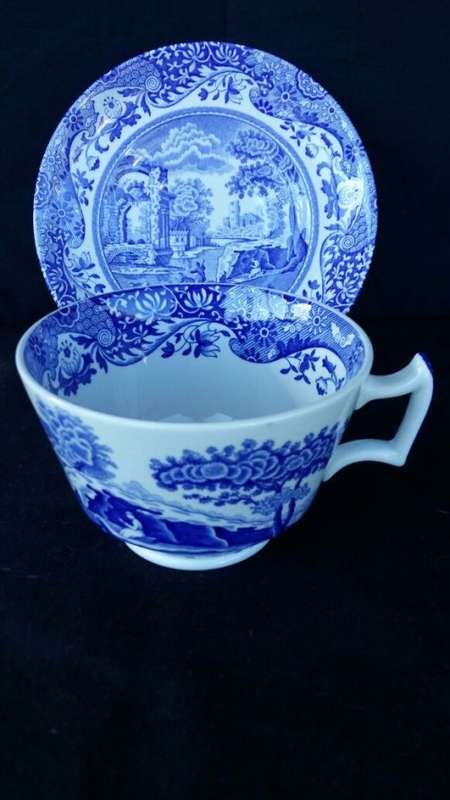 WOW !!!  A GORGEOUS SPODE TEA CUP AND SAUCER DUO