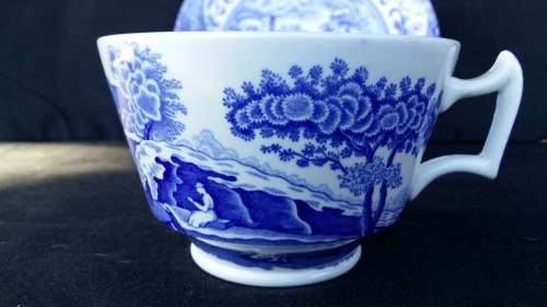 WOW !!!  A GORGEOUS SPODE TEA CUP AND SAUCER DUO