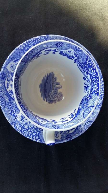 WOW !!!  A GORGEOUS SPODE TEA CUP AND SAUCER DUO