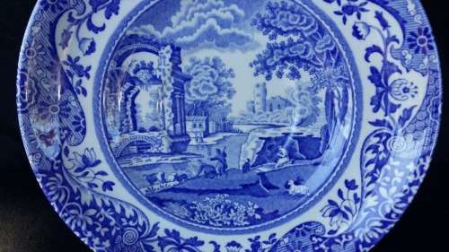 WOW !!!  A GORGEOUS SPODE TEA CUP AND SAUCER DUO