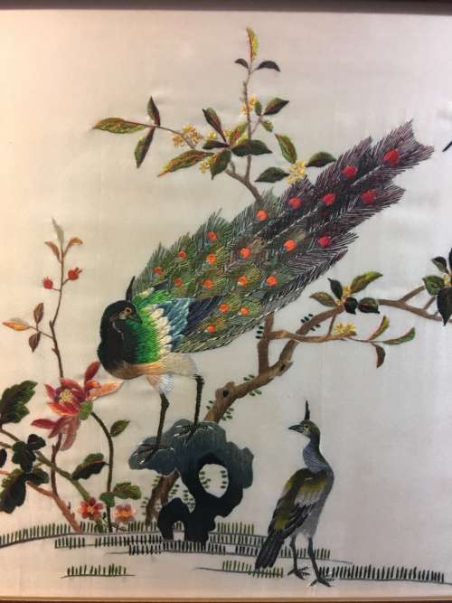 WOW !!!  A BEAUTIFUL VINTAGE  FRAMED CHINESE SILK EMBROIDERY OF A PEACOCK  WITH CALIGRAPHY