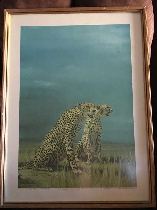 STUNNING FRAMED PRINT OF SUNSHINE AND STORM IN RHODESIA No33/850 signed BY PAUL BOSMAN