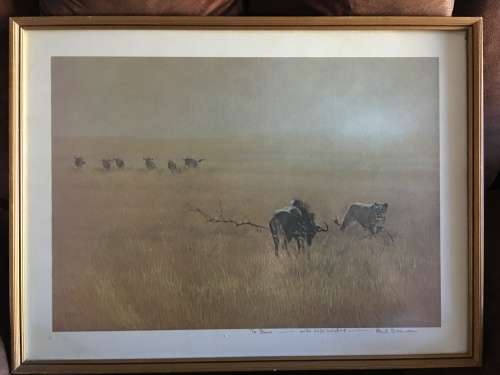 STUNNING FRAMED PAUL BOSMAN PRINT OF A LIONESS HUNTING A WILDEBEEST signed in pencil