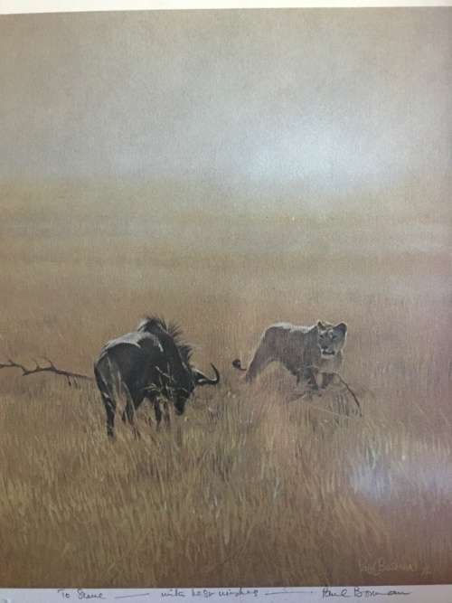 STUNNING FRAMED PAUL BOSMAN PRINT OF A LIONESS HUNTING A WILDEBEEST signed in pencil