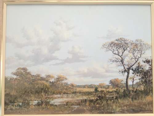 Francois Badenhorst 1934 ~ 2013 ... Original Landscape Oil On Board 1989 Framed ~ Valued at R20000