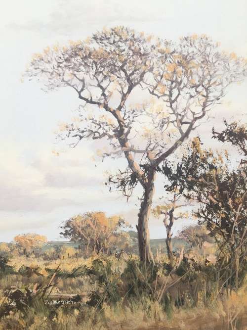 Francois Badenhorst 1934 ~ 2013 ... Original Landscape Oil On Board 1989 Framed ~ Valued at R20000