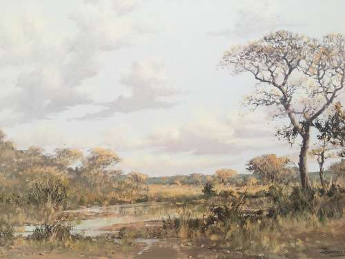 Francois Badenhorst 1934 ~ 2013 ... Original Landscape Oil On Board 1989 Framed ~ Valued at R20000