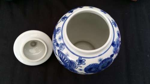 Stunning Genuine Ming Blue and White Butterfly and Floral Design Porcelain Vase with Lid