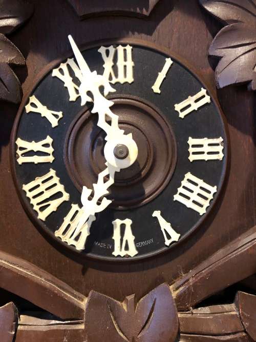 STUNNING BLACK FOREST JAHRESUHRENFABRIK 50 SHATZ GERMAN 8 DAY CUCKOO CLOCK IN FULL WORKING ORDER