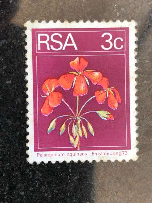 A COLLECTION OF SOUTHERN AFRICAN STAMPS ~ CHECK DESCRIPTION FOR MORE PICTURES