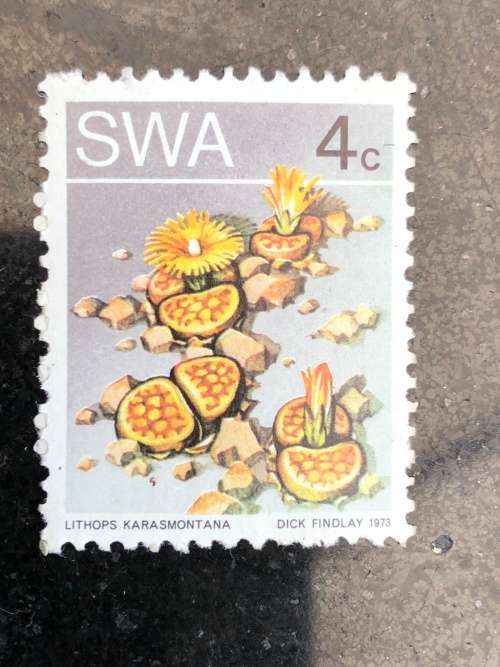 A COLLECTION OF SOUTHERN AFRICAN STAMPS ~ CHECK DESCRIPTION FOR MORE PICTURES