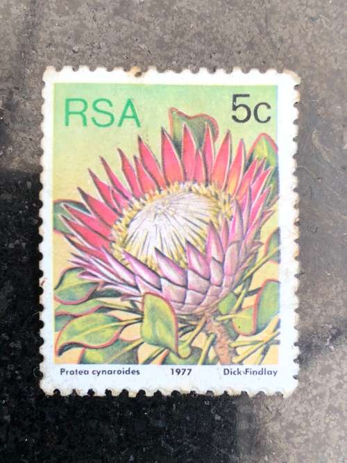 A COLLECTION OF SOUTHERN AFRICAN STAMPS ~ CHECK DESCRIPTION FOR MORE PICTURES